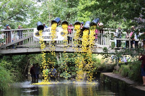 Duck Race 20.07.25 - Ducks launch KRIMG 2423 Duck Race 20.07.25 - Ducks launch KRIMG 2423