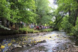 Duck Race 20.07.25 - Ducks underway KRIMG 2483 Duck Race 20.07.25 - Ducks underway KRIMG 2483